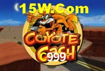 Sports Statistics C999