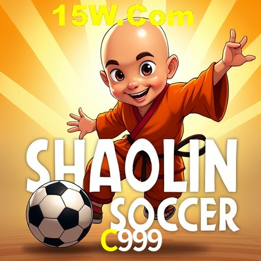 Security Systems C999